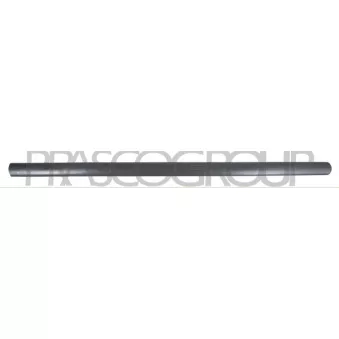 Baguette et bande protectrice, porte avant gauche PRASCO VG9041404