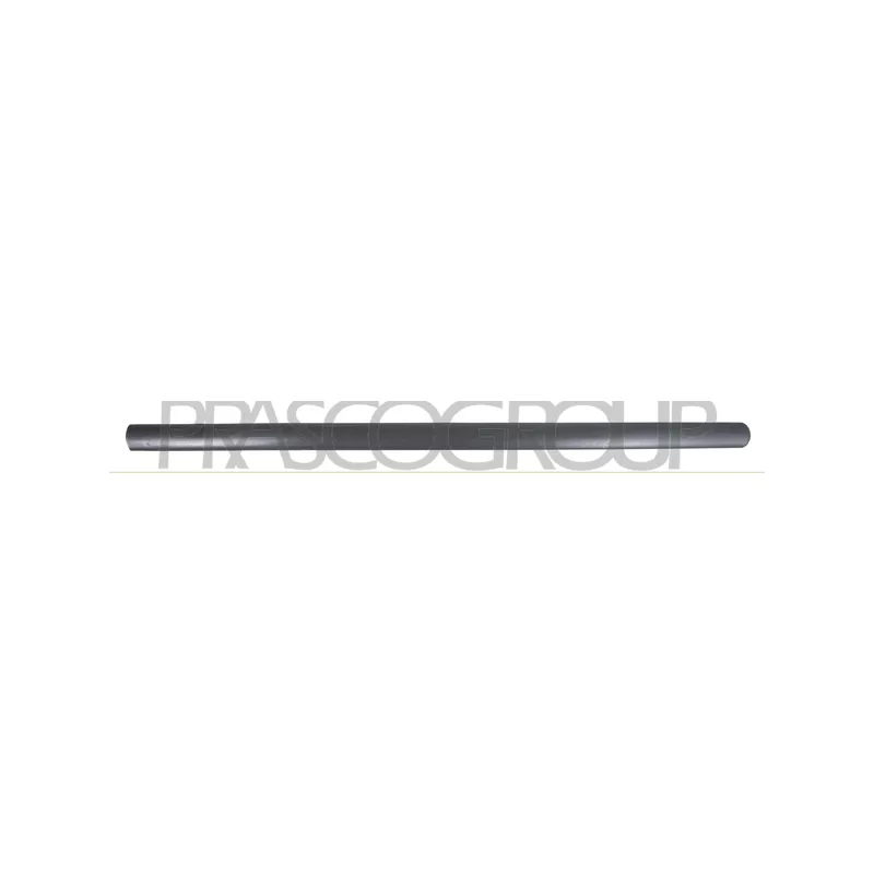 Baguette et bande protectrice, porte avant gauche PRASCO VG9041404