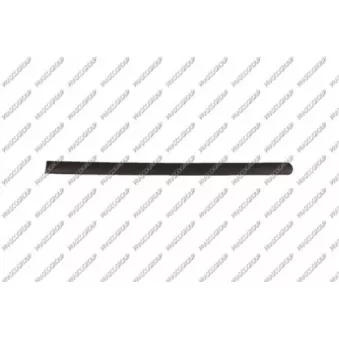 Baguette et bande protectrice, porte arrière gauche PRASCO VG9041454