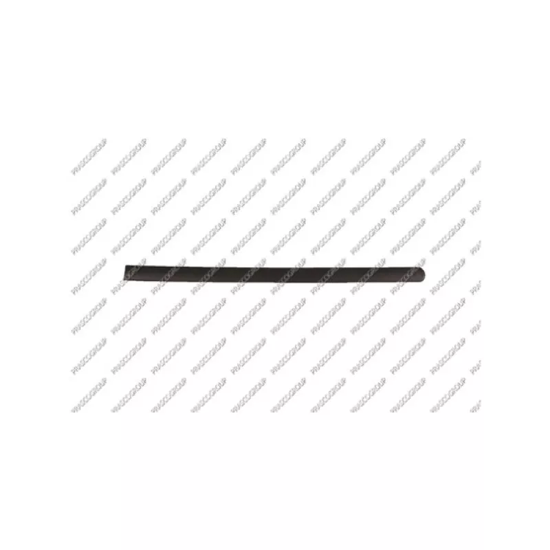 Baguette et bande protectrice, porte arrière gauche PRASCO VG9041454