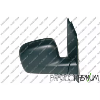 Rétroviseur extérieur PRASCO VG9047003P