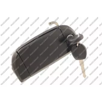 Poignée extérieure de porte avant gauche PRASCO VG9138042