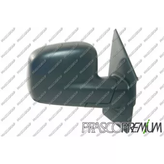 Rétroviseur extérieur PRASCO VG9177003P