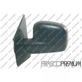 Rétroviseur extérieur PRASCO VG9177004P