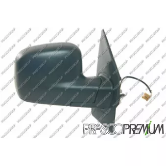 Rétroviseur extérieur PRASCO VG9177313P