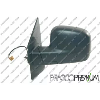 Rétroviseur extérieur PRASCO VG9177314P