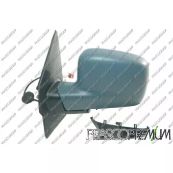 Rétroviseur extérieur PRASCO VG9177324P