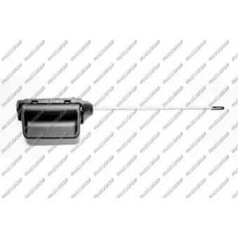 Poignet de porte, équipment intérieur arrière droit PRASCO VG9178302