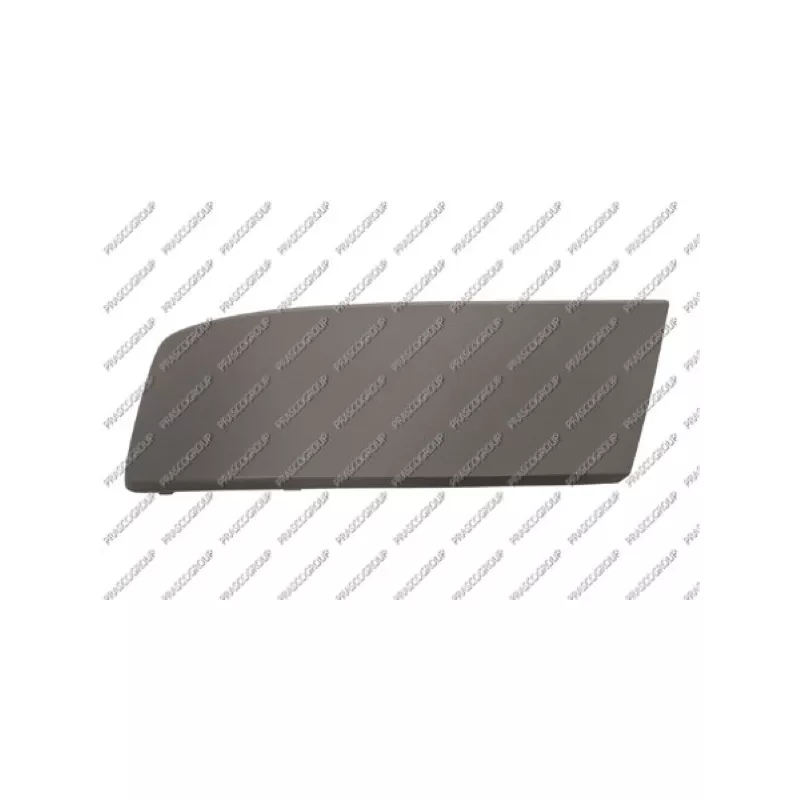 Baguette et bande protectrice, pare-chocs avant gauche PRASCO VG9191246