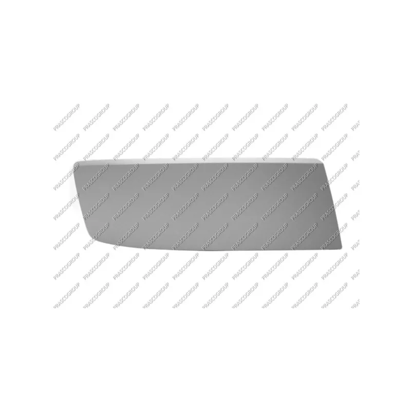 Baguette et bande protectrice, pare-chocs avant droit PRASCO VG9191247