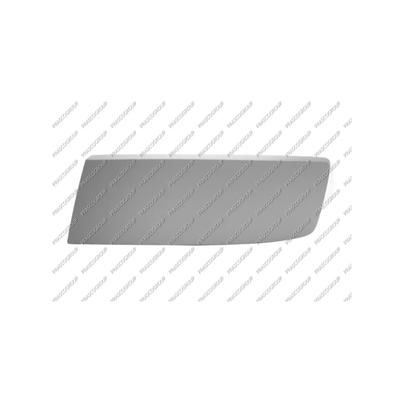 Baguette et bande protectrice, pare-chocs avant gauche PRASCO VG9191248