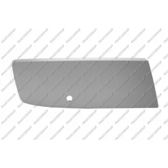 Baguette et bande protectrice, pare-chocs avant droit PRASCO VG9191249