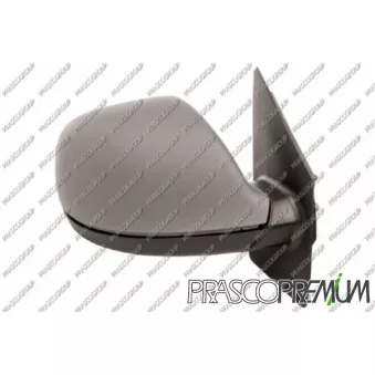Rétroviseur extérieur PRASCO VG9197323P
