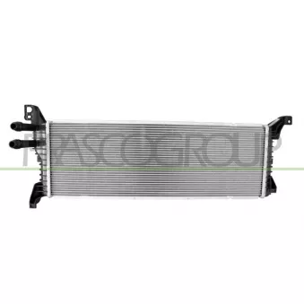 Radiateur, refroidissement du moteur PRASCO VG921R001