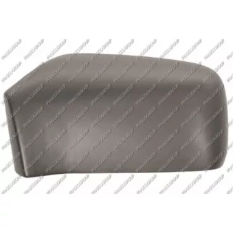 Revêtement, rétroviseur extérieur PRASCO VV0287404