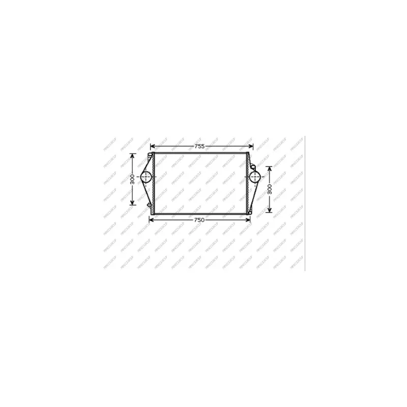 Intercooler, échangeur PRASCO VV040N002