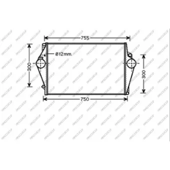 Intercooler, échangeur PRASCO VV042N001