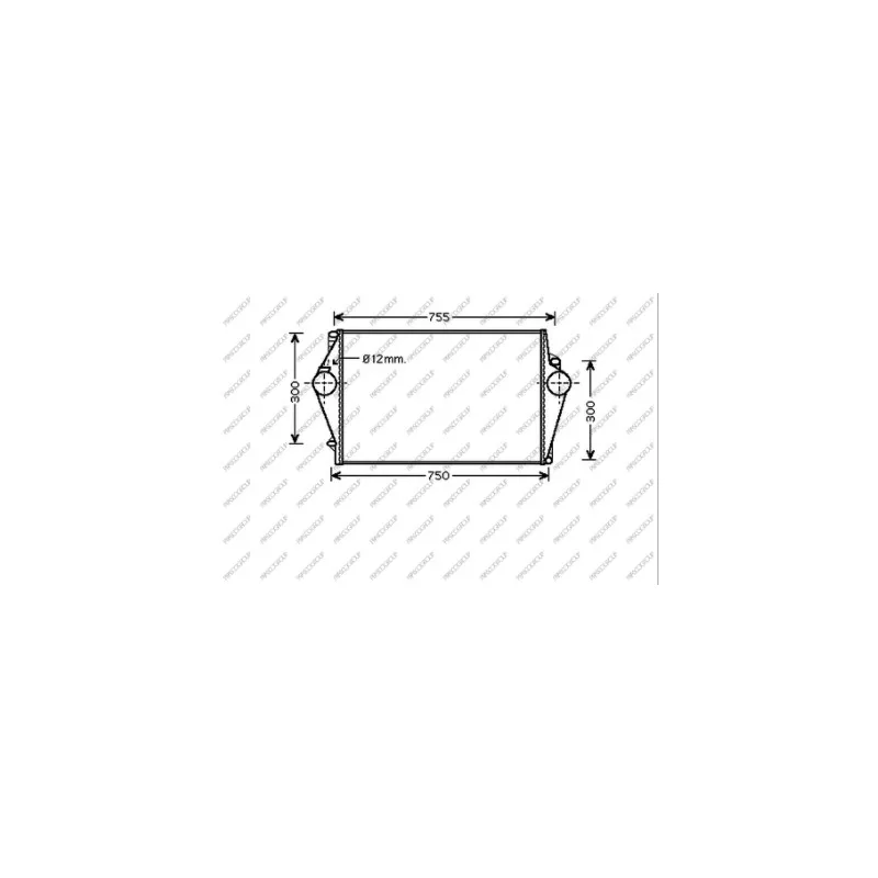 Intercooler, échangeur PRASCO VV042N001