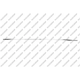 Baguette et bande protectrice, pare-chocs PRASCO VV6001255