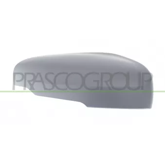 Revêtement, rétroviseur extérieur PRASCO VV6127413