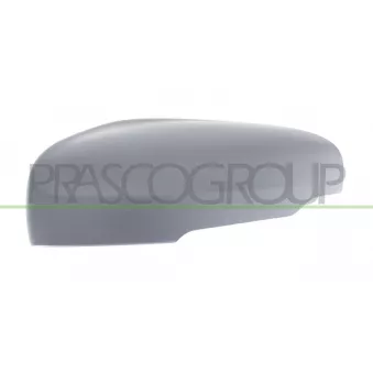 Revêtement, rétroviseur extérieur PRASCO VV6127414