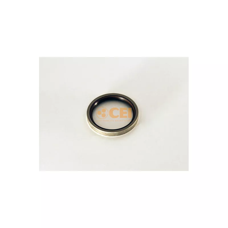 Bague d'étanchéité, différentiel C.E.I. 139.586