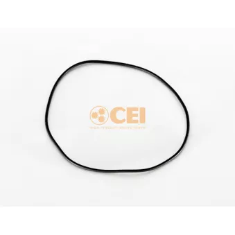 Bague d'étanchéité C.E.I. 139.593