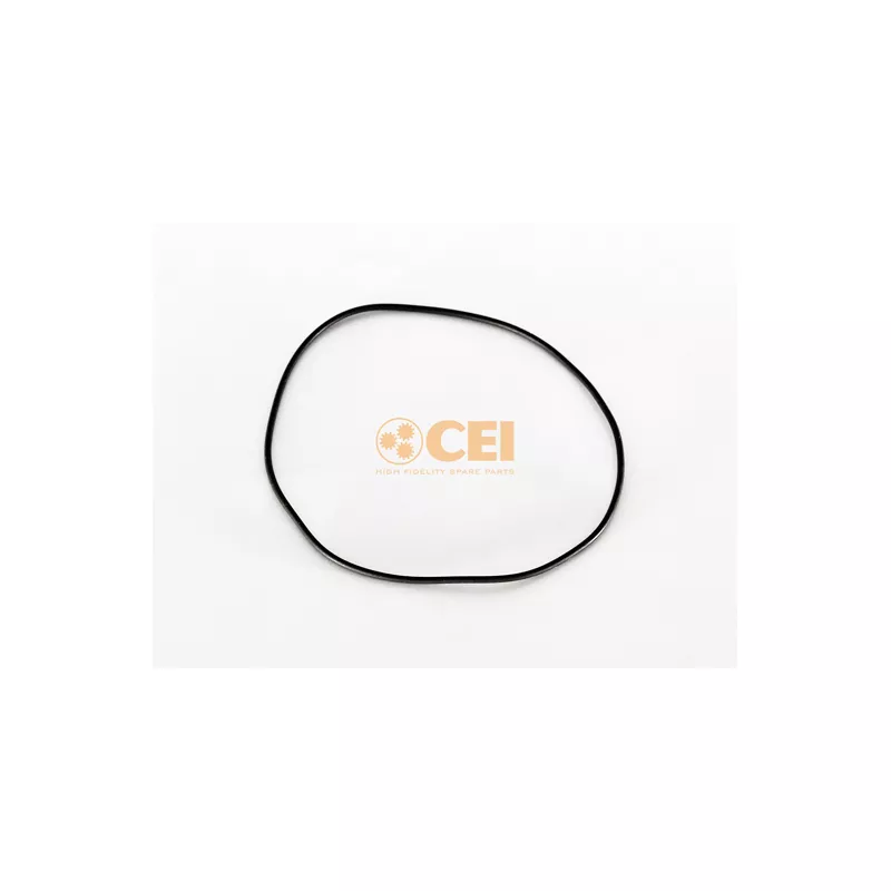 Bague d'étanchéité C.E.I. 139.593
