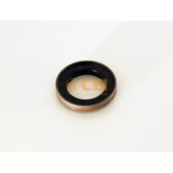 Bague d'étanchéité, différentiel C.E.I. 139.627