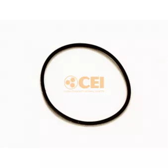 Bague d'étanchéité C.E.I. 139.658