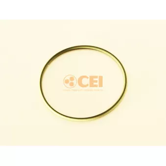 Bague d'étanchéité C.E.I. 139.856