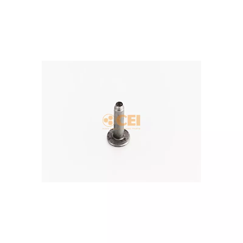 Boulon C.E.I. 160.218