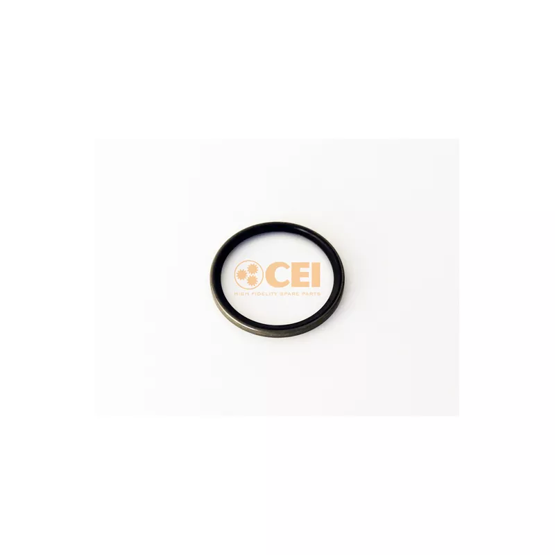 Bague d'étanchéité C.E.I. 189.738