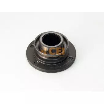 Flasque, différentiel C.E.I.