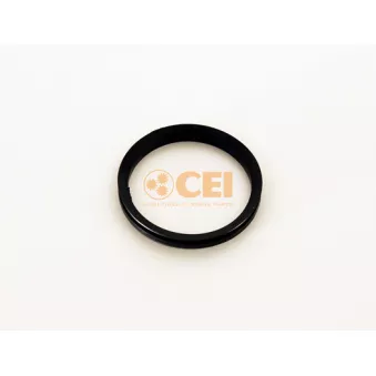 Bague d'étanchéité, différentiel C.E.I. 239.093