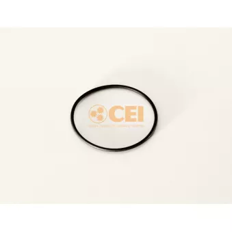 Bague d'étanchéité C.E.I. 239.196