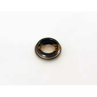 Bague d'étanchéité, boîte de vitesse manuel C.E.I. 239.197