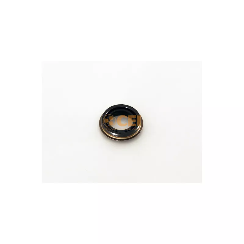 Bague d'étanchéité, boîte de vitesse manuel C.E.I. 239.197