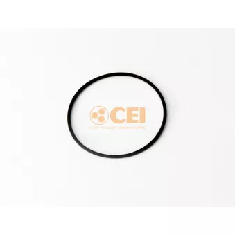 Bague d'étanchéité C.E.I. 239.228