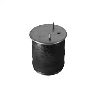 Ressort pneumatique, suspension pneumatique C.E.I.