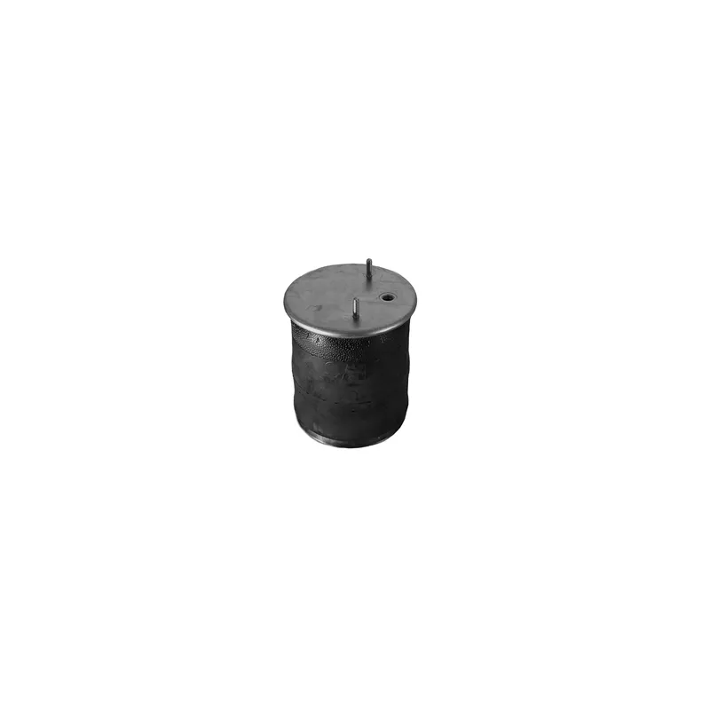 Ressort pneumatique, suspension pneumatique C.E.I. 260.146