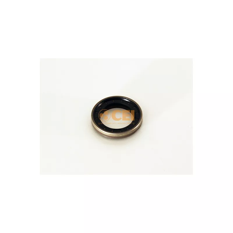 Bague d'étanchéité, différentiel C.E.I. 269.891