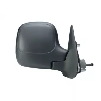 Rétroviseur extérieur SPILU 50574