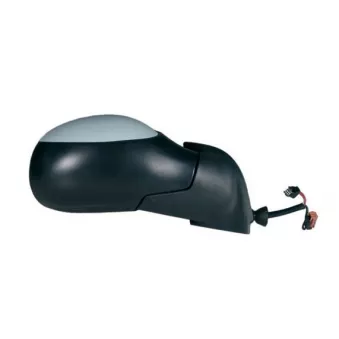 Rétroviseur extérieur SPILU 50640
