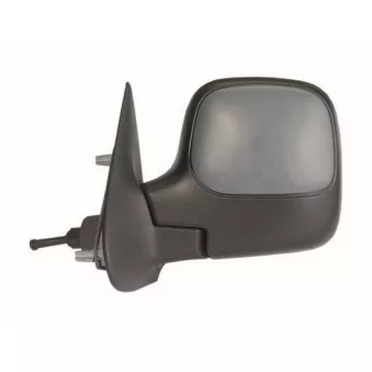 Rétroviseur extérieur SPILU 50679