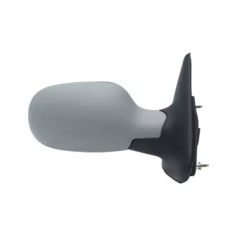 Rétroviseur extérieur SPILU 52522
