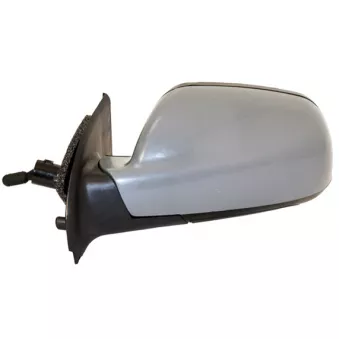 Rétroviseur extérieur SPILU 53805