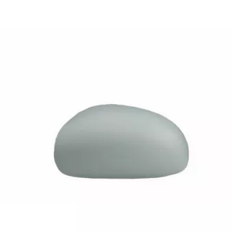 Revêtement, rétroviseur extérieur SPILU 53808