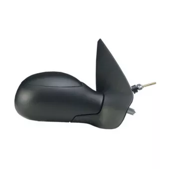 Rétroviseur extérieur SPILU 53874
