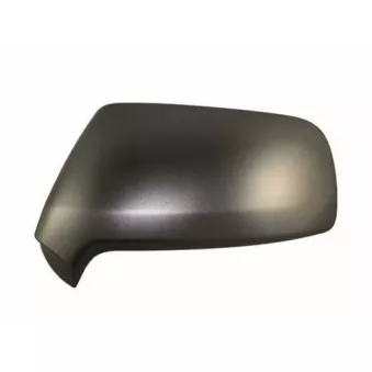 Revêtement, rétroviseur extérieur SPILU 53895